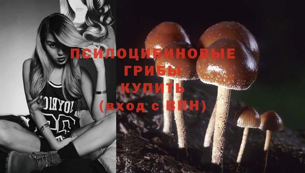 спайс Беломорск