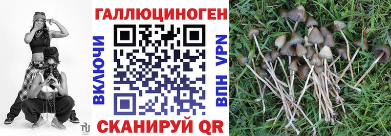 Галлюциногенные грибы мицелий Вельск
